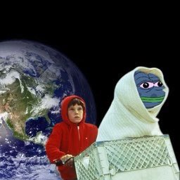PlutoPepe tweet media