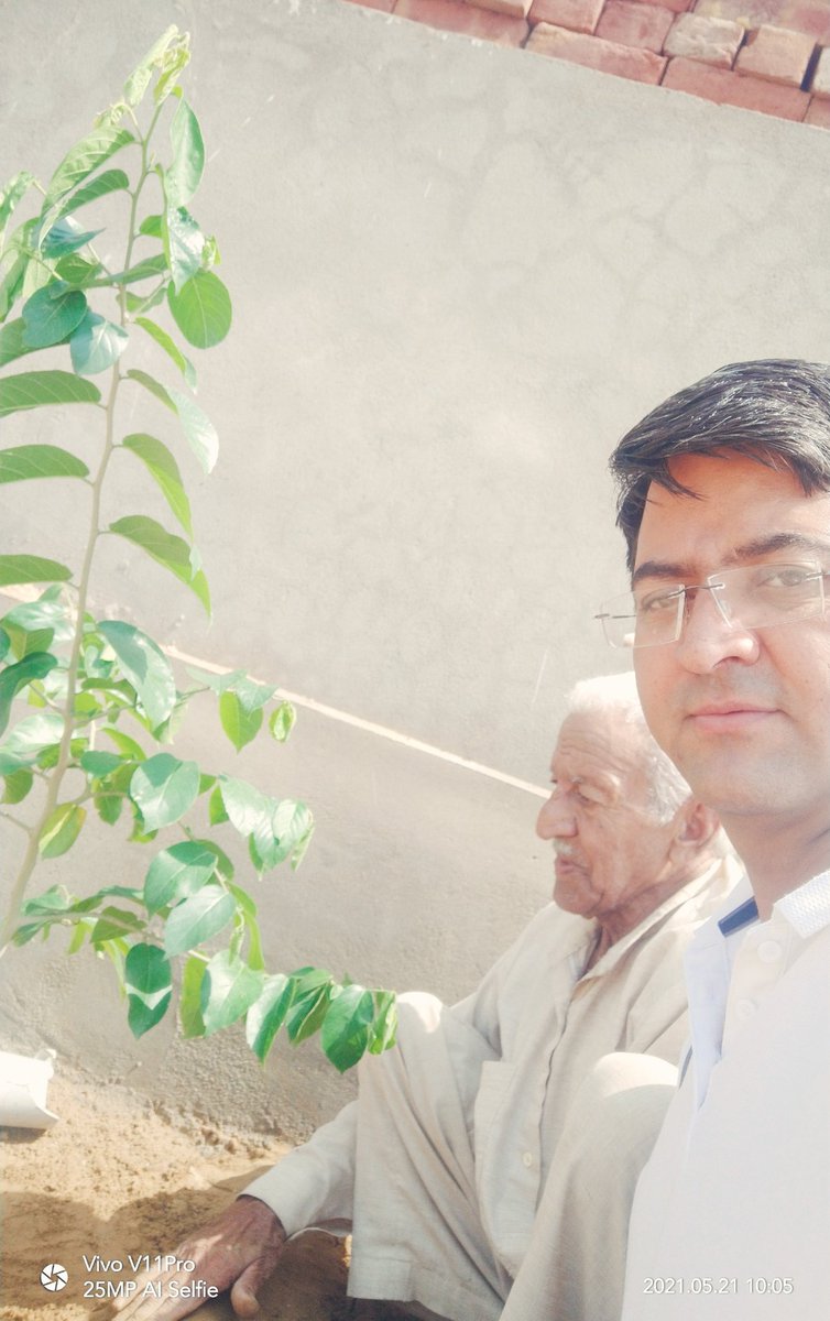 मौसम की अनुकूलता होते ही ,एक नया पेड़ ओर जोड़ दिया घर की बगिया में।