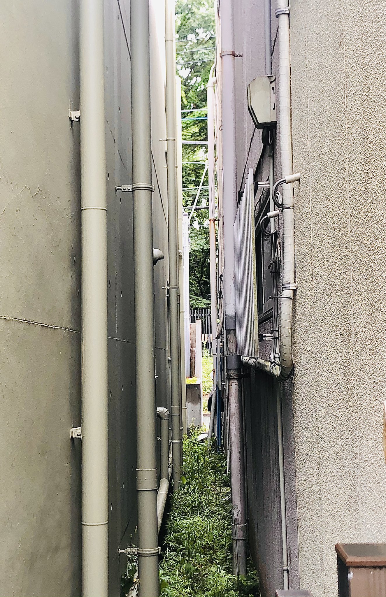 とり 命 On Twitter ところで私こういう建物と建物の隙間が大好きなんですよ この隙間を進むと別世界に行ける気がするから いつも色んな建物 の隙間を探しながら散歩して 見つけるとしばらく立ち止まって見つめてしまう あと奥行きのある細くて長い道も大好き