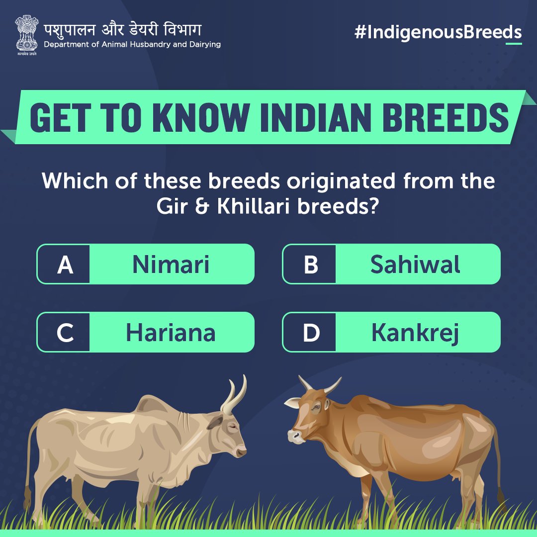 🔎🐃 Can you identify the #CattleBreed we are talking about? Let us know in the comments below!

#AnimalHealth #AnimalWealth #Livestock #BharatiyaGovansh