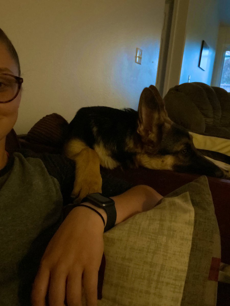 Raches21's tweet photo. It is such an honor to be trusted with watching people’s pets. Like, you want me to make sure they are fed, loved, and taken care of? ME? 🥺🥺❤️❤️ https://t.co/ocgI7AWPiX