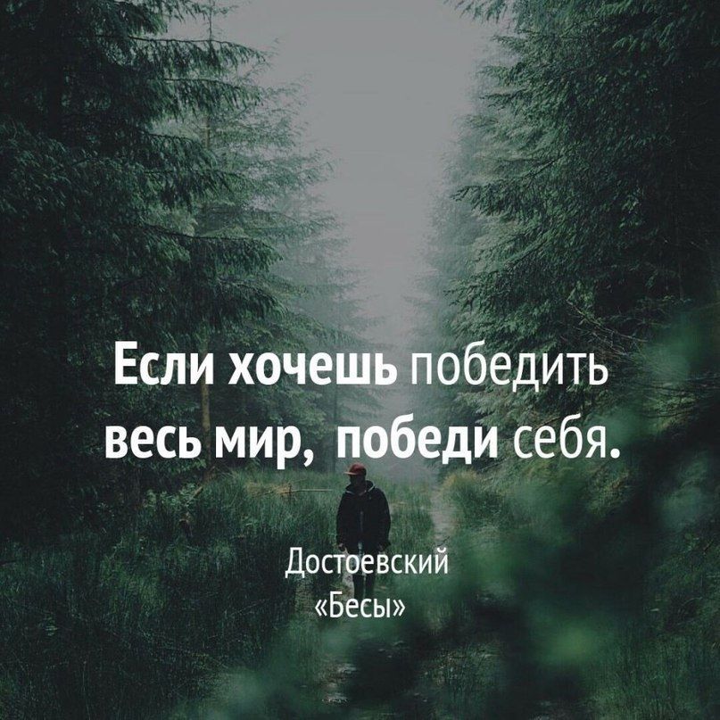 Мудрость веков (@delaisam) on Twitter photo 
