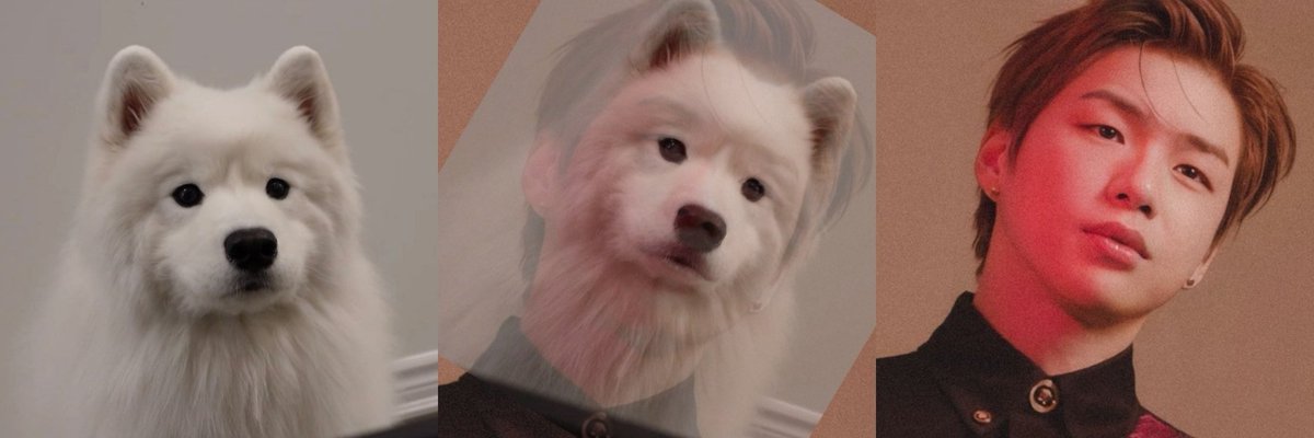 이러면 나 니에리한테 혼나려나