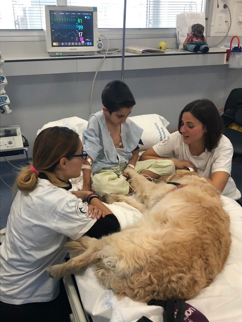 ¡Buen día!
#ViernesAnimal
ZENIT. Juegos y caricias en la UCI. Hospital 12 de Octubre, Madrid, 2019. ¡Volveremos!
<a href="/PsicoTAA/">PsicoAnimal Terapias Asistidas con Animales</a>