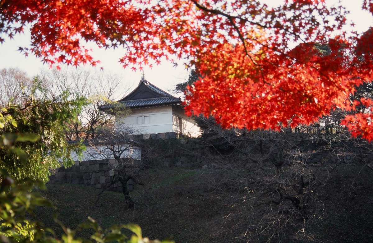 土曜もお仕事の方無理なさらないでくださいね 土曜もお仕事の方無理なさらないでくださいね