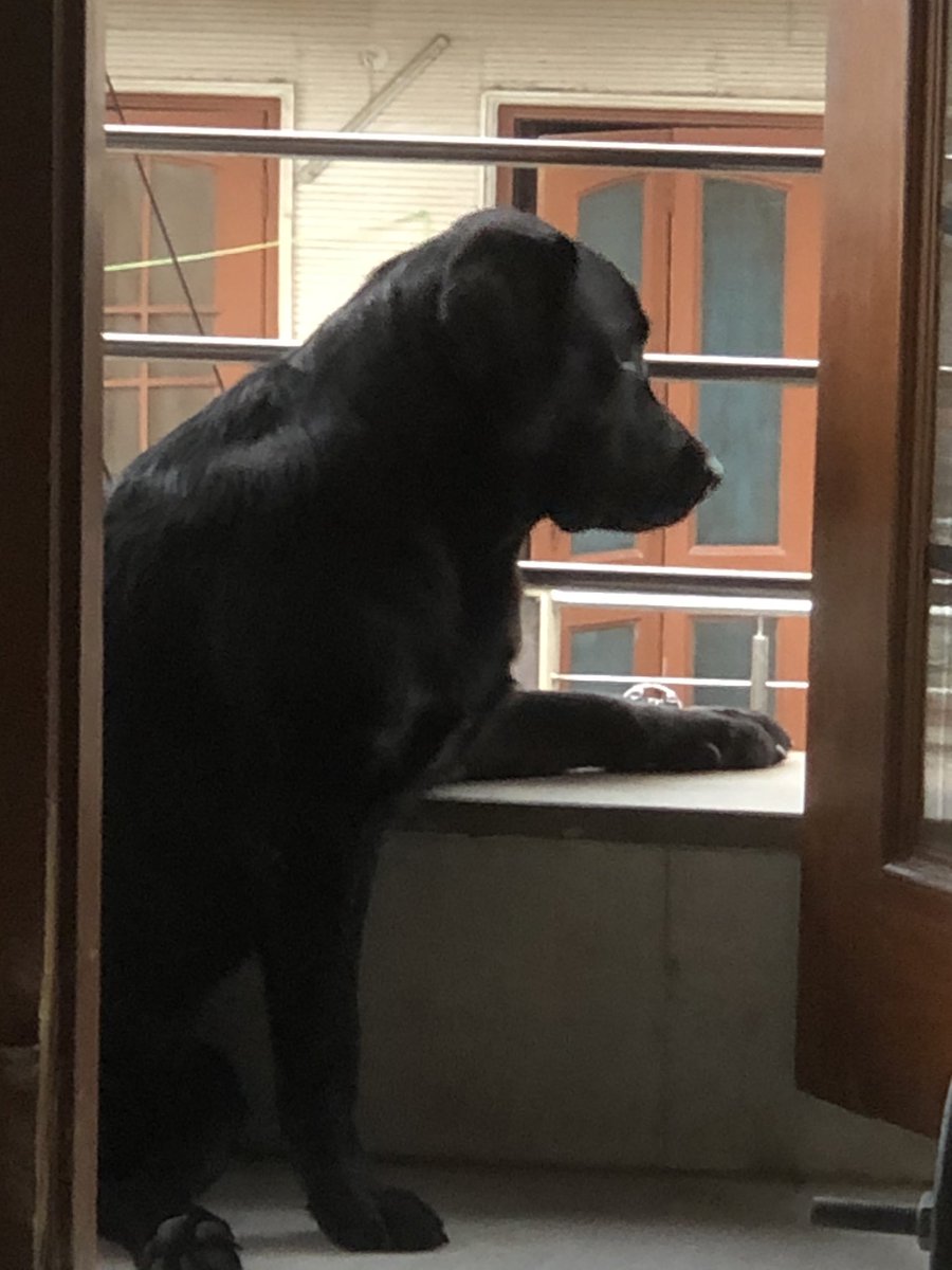 ExploreAbhi's tweet image. #BuschCTOcontest. Buddy is waiting for his contract