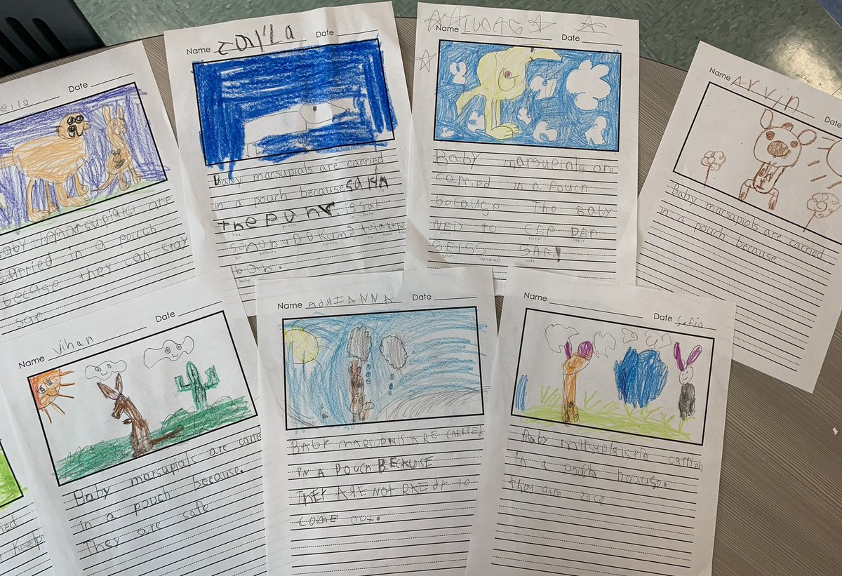 MrsSMcNeil's tweet photo. We’ve been reading this book from RazPlus. We searched for plural nouns &amp; sight words. We responded to reading with writing. We dug deeper during science to learn more about marsupials. Ss really enjoyed the real life photos/videos that we saw this week! #CrossCurricularTeaching https://t.co/ekArEc4x7i