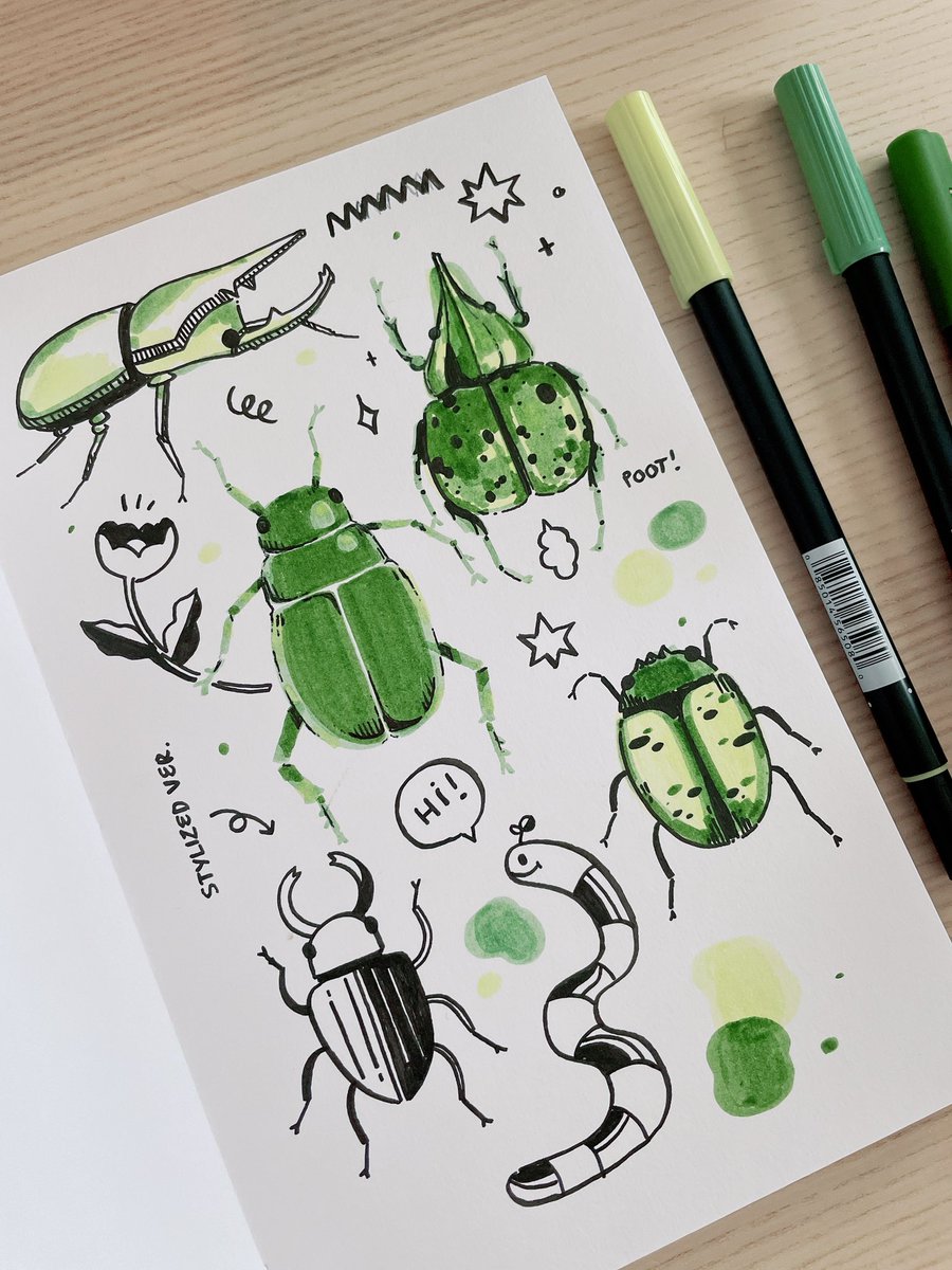 insect study?