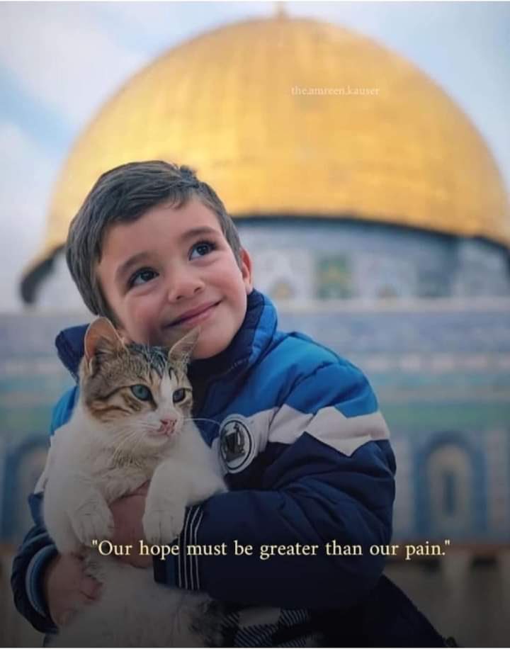 IssaOmairi's tweet photo. #غزة_تنتصر 
(ويومئذٍ يفرح المؤمنون بنصر الله )
💪🏼🇵🇸🇴🇲 
مبارك عليكم النصر ي فلسطين واليوم عيد لكل المسلمين اللهم لك الحمد حمداً كثيرا . https://t.co/jn8KXmVH00