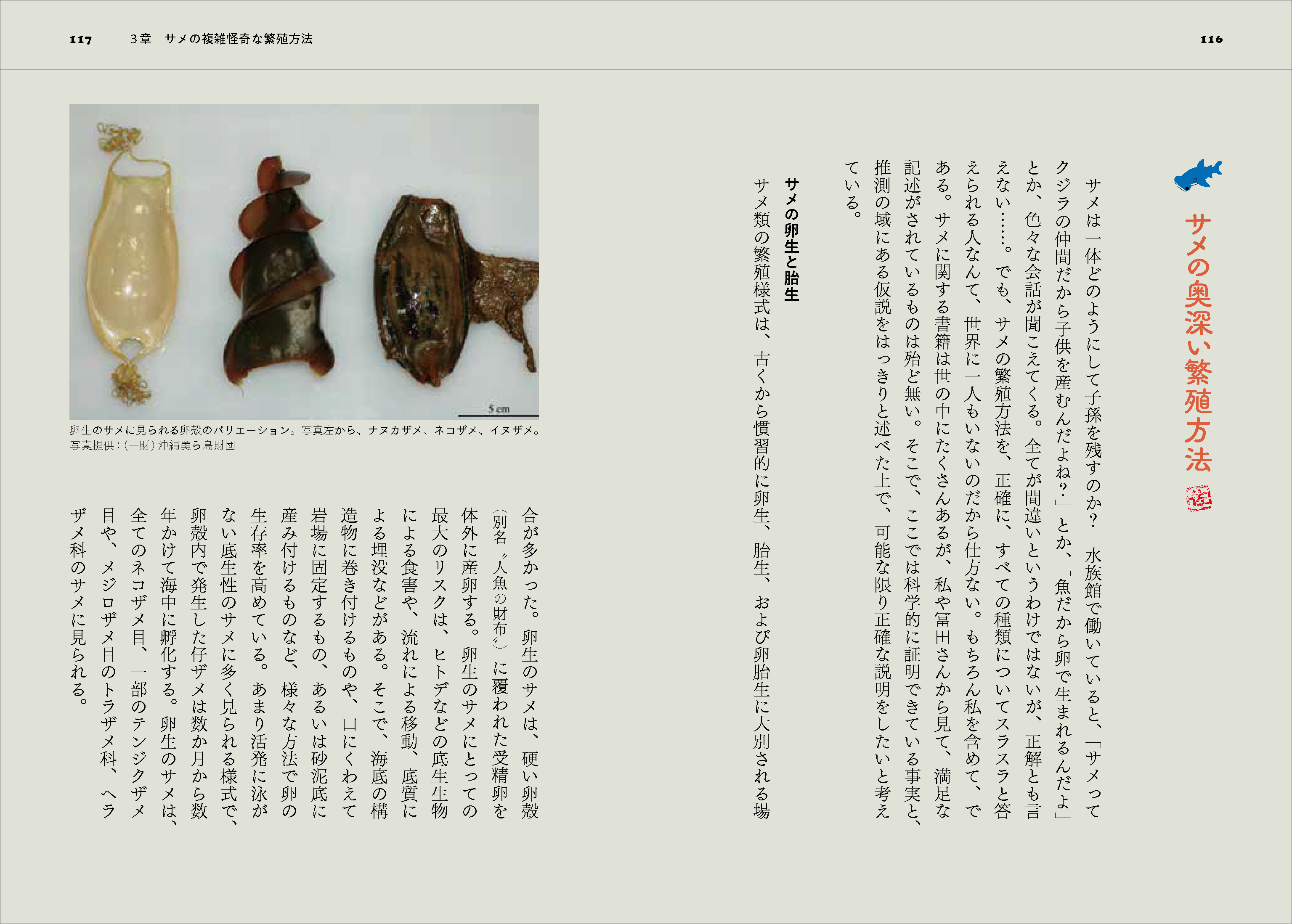 産業編集センター出版部 على تويتر 寝てもサメても 深層サメ学 たっぷりご紹介いただきありがとうございました とっても楽しかった 世の中にないサメ情報 サメ研究の最前線を詰め込んだサメ本です めちゃかわの表紙イラストは冨田先生によるものです