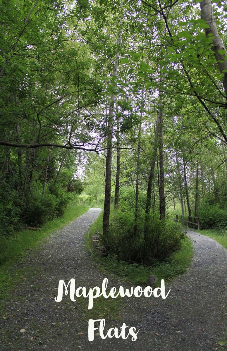 Duck ponds, birdlife, miniature horses, Maplewood has it all and more.
Maplewood Flats in North Vancouver is a 311-acre conservation area managed by the Wild Bird Trust of B.C. This trail lines a beautiful and peaceful tidal marsh. 
#explorebc #britishcolumbia #bcadventure