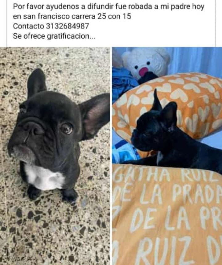 lauriesofia's tweet photo. Aquí está el contacto por si saben de algo, debemos ayudarnos entre todos. https://t.co/XY0asL7KxB