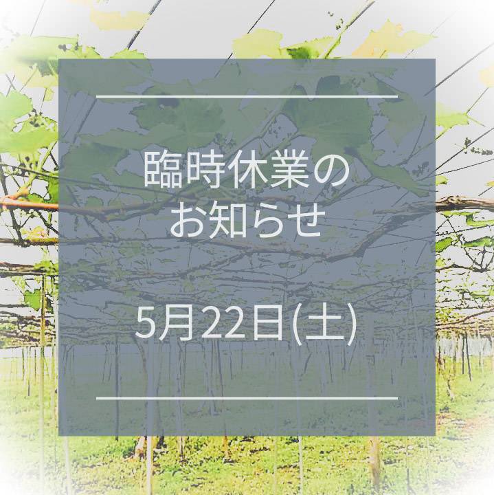 えっちゃん食堂 わりけんどもよー 22日 土 は うぢのブドウ園のジベだもんで みしぇ休みにすっがらよろしぐな お食事処えっちゃん えっちゃんラーメン 山形 高畠町 ブドウ園 家のブドウ園 ジベレリン処理 臨時休業 T Co U7ukr9x5yz