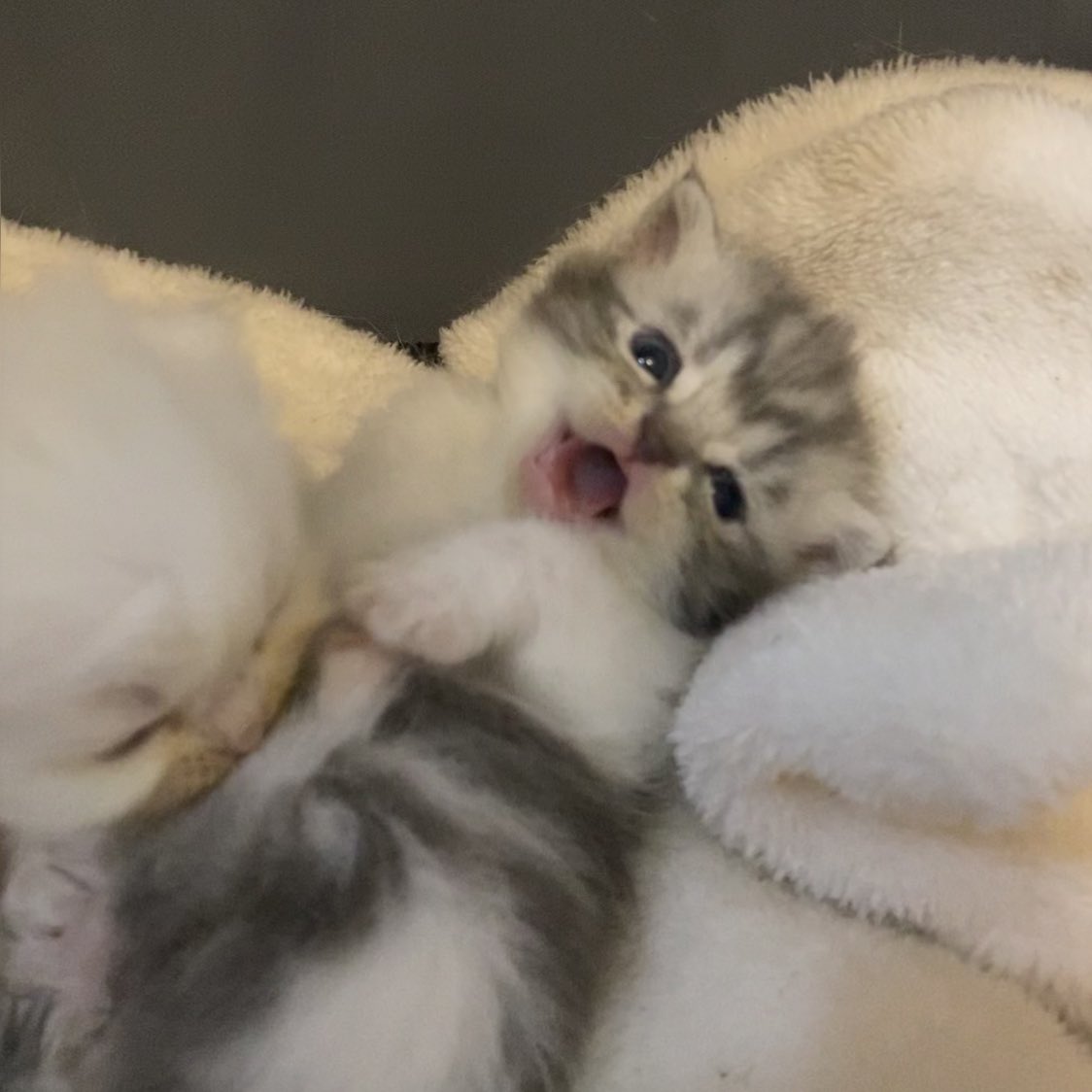 @jaehyunkinoex i luv nong ger na 💝 * kiss kiss * always here leoy יִ