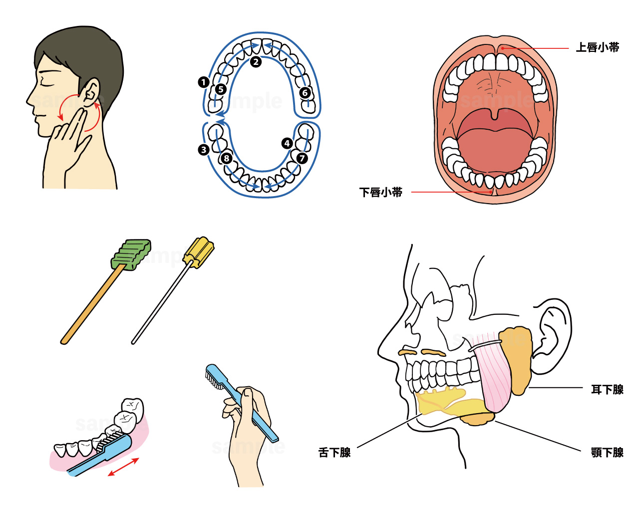 早瀬 ナース系イラストレーター お仕事情報 Webメディア ナース専科 様 口腔ケアのコツと手順 根拠がわかる看護技術 ブラッシング技術や解剖イラストなどの 挿絵を担当いたしました T Co Synycyr12x T Co Rjdl0qpdl6 Twitter 早瀬 ナース系イラストレーター お仕事情報 Webメディア ナース専科 様 口腔ケアのコツと手順 根拠がわかる看護技術 ブラッシング技術や解剖イラストなどの 挿絵を担当いたしました T Co Synycyr12x T Co Rjdl0qpdl6 Twitter