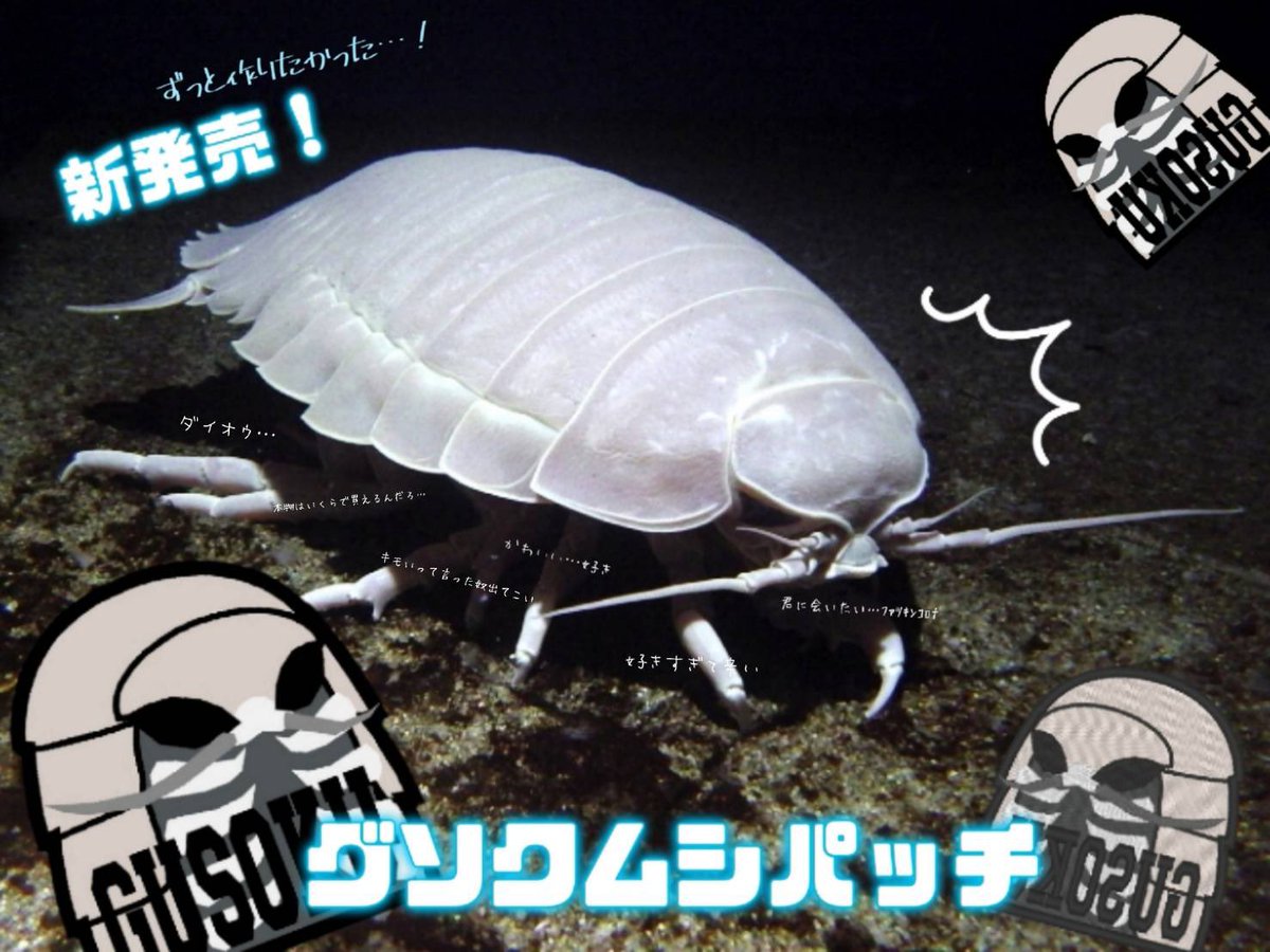 Oueu4alrnskzzm Oueu4alrnskzzm