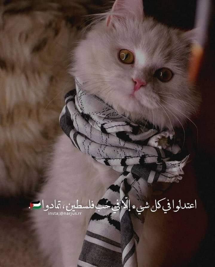 القدس عاصمة فلسطين 🇵🇸 ❤