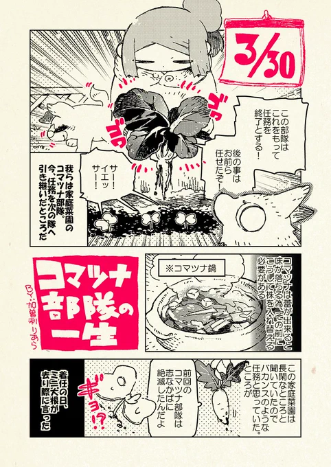 【適当農園～コマツナ部隊の一生1/2】
去年は手探り。その後、プロ農家さんへ弟子入りしました! 