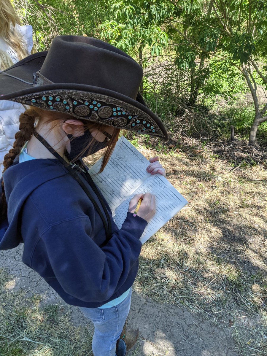 Laguna Walk today! Students nature journaled along the way! 🌲🐿️ <a href="/UELFSEAWOLVES/">UELFCRPUSD</a>