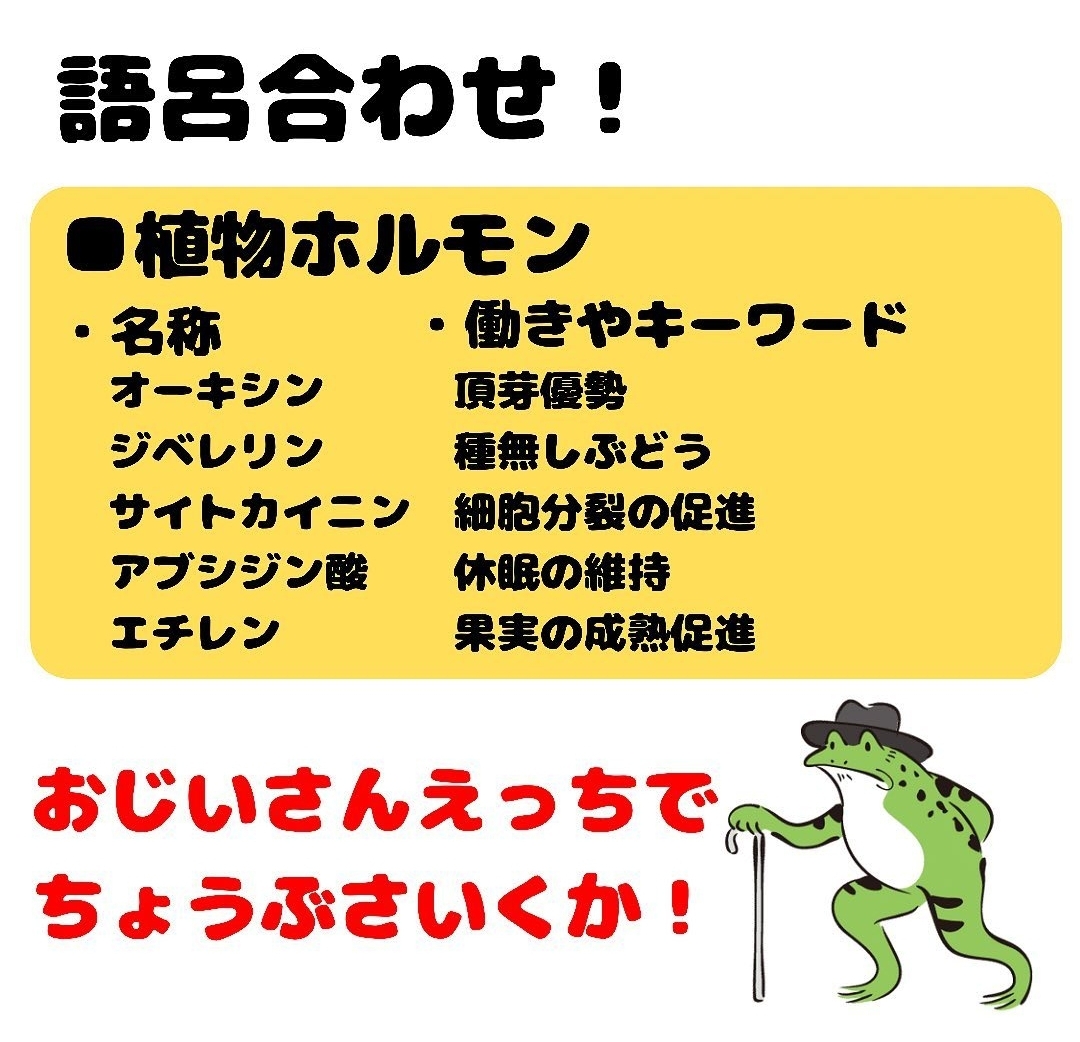 植物ホルモン