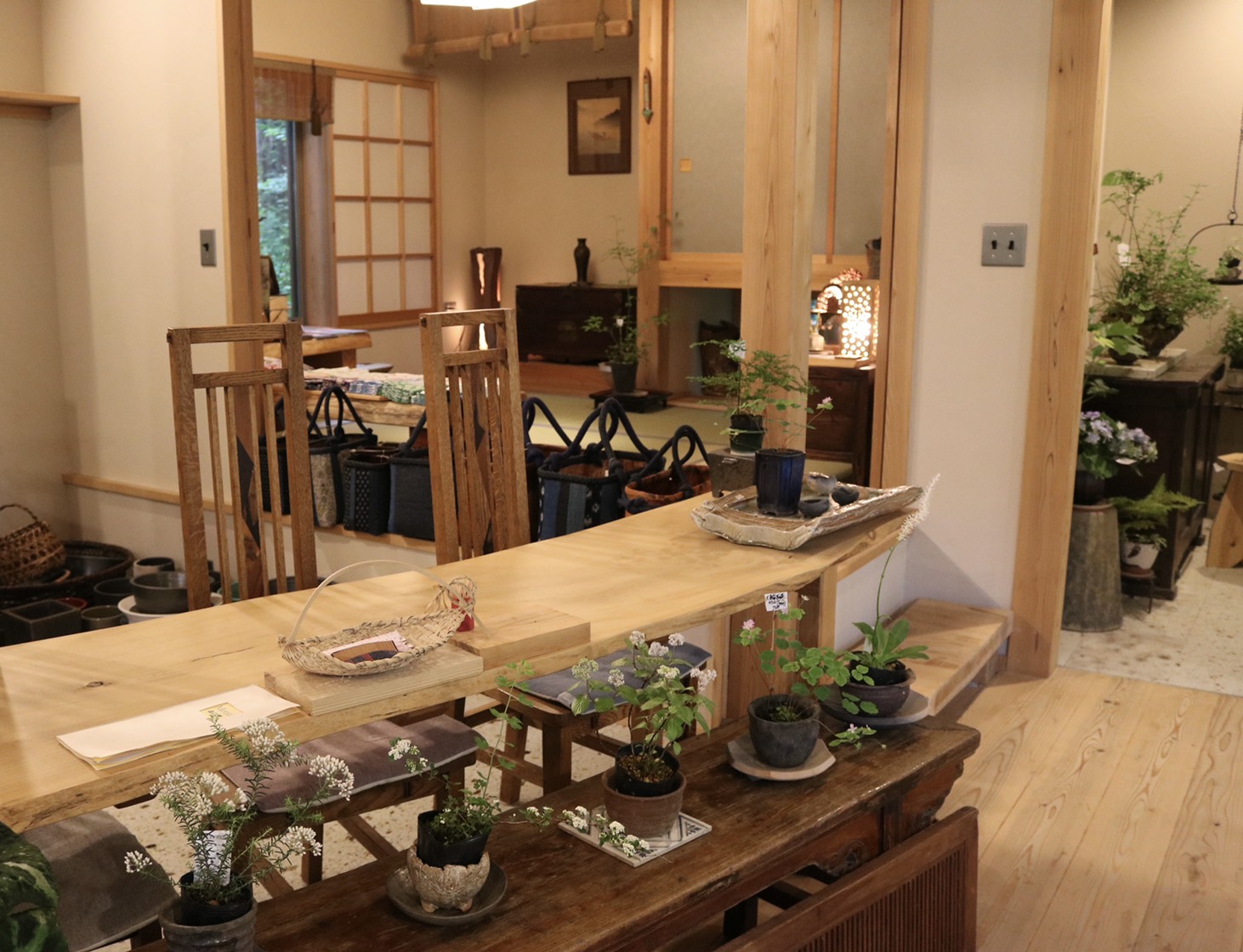 笠間観光協会 森の響 素敵な木々に覆われた 緑溢れるカフェです 手間をかけた里山ランチ は 季節のお野菜をふんだんに使っているので季節感を楽しめます ランチは ご予約をおすすめします 茨城 笠間市 かさま巡り 山野草 茶花 植木 オリジナル
