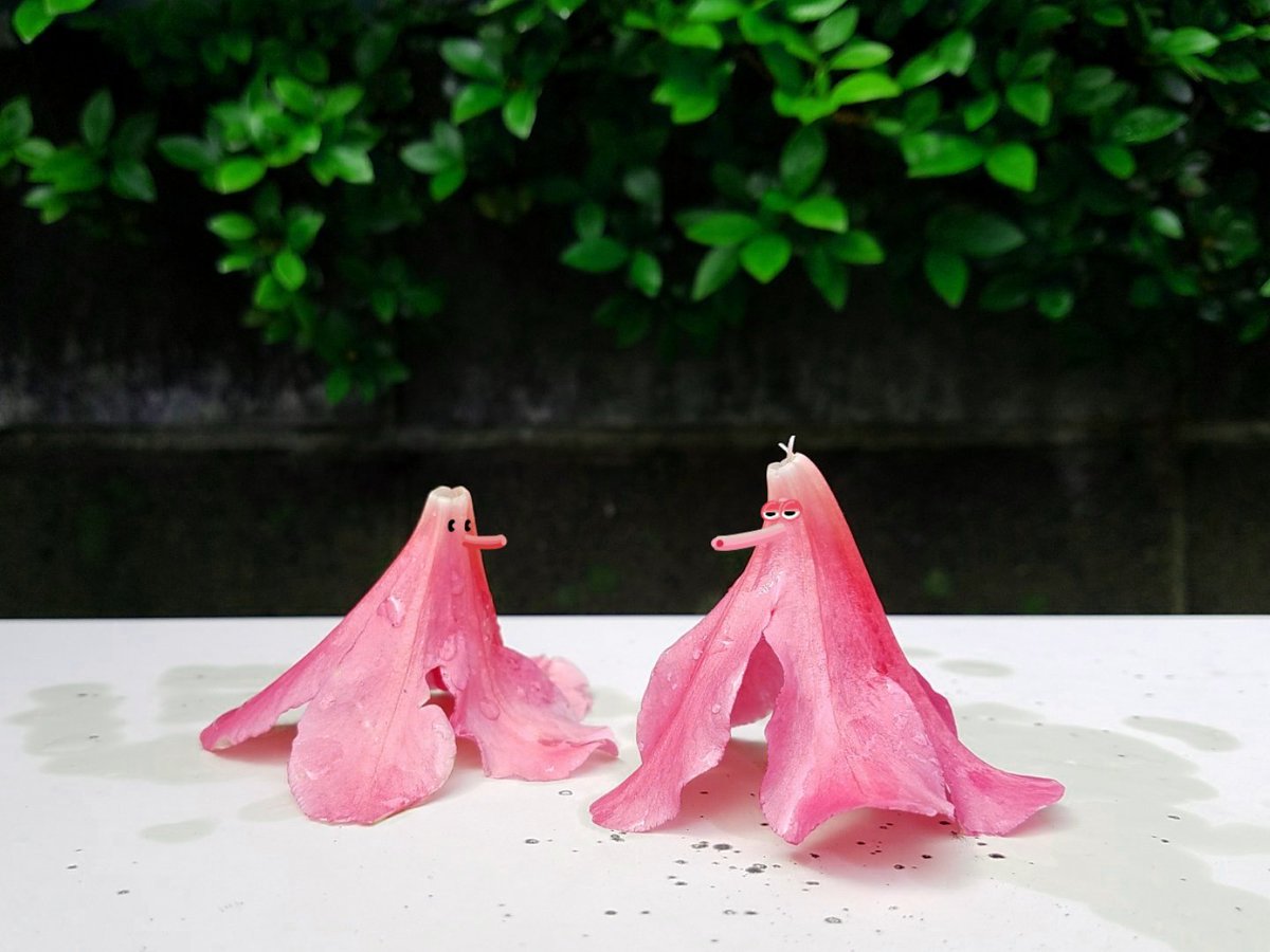 4 上原の家 佐々木勝敏 佐々木勝敏建築設計事務所 Foutexsaa