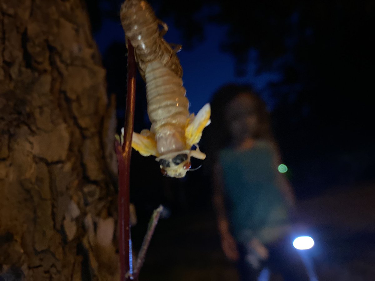 Christine Sweigart tweet media