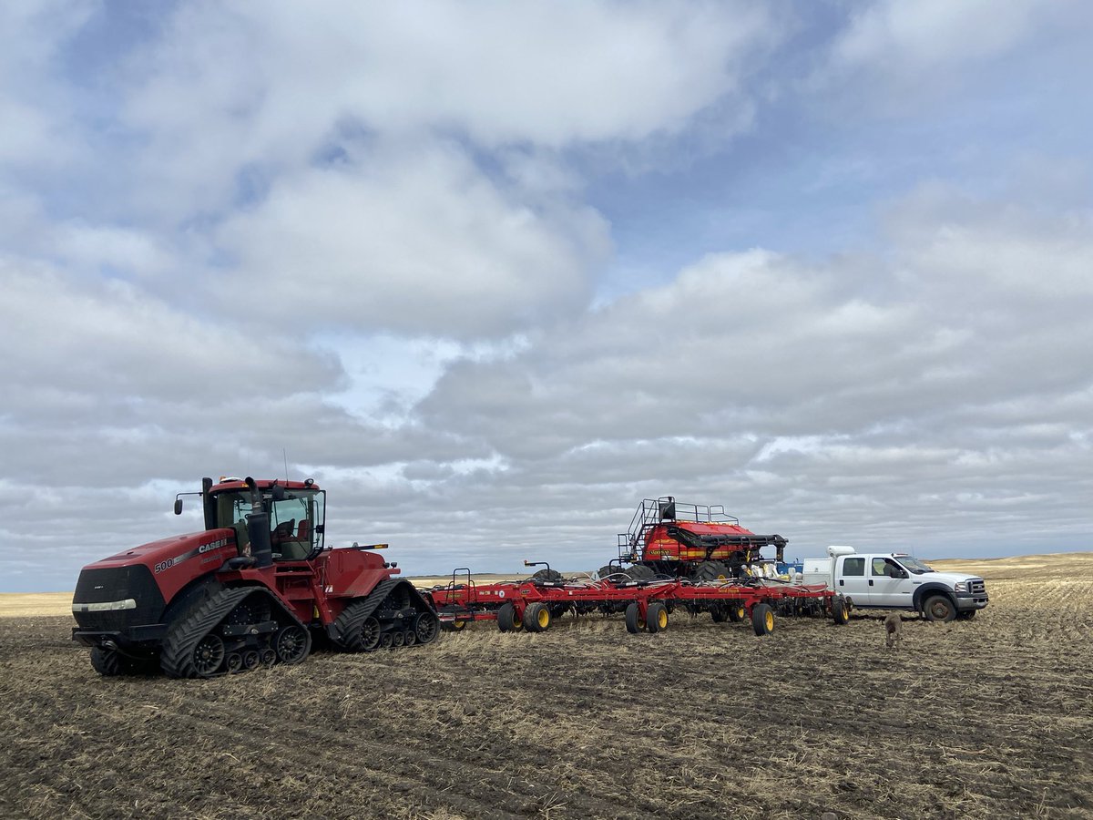 MarlaAnwender's tweet photo. #RoundupReady PKP plots are in!  #45CS40 #45H42 #44H44 #45CM39 and a sclerotinia experimental.  Bring on the rain and crop tours!! @PioneerSeedsCA @RedheadEquip https://t.co/7R97Itwu5i