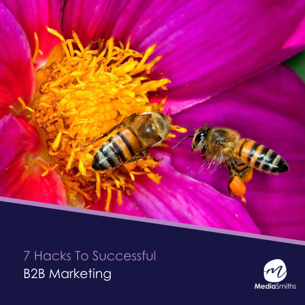 MediaSmiths1's tweet photo. Successful business-to-business marketing involves proactive communication and making sure your business has a strong back story. 

What else? 

Read up on more B2B Marketing hacks:
https://t.co/ifcrADs3wY https://t.co/BCO606enNh