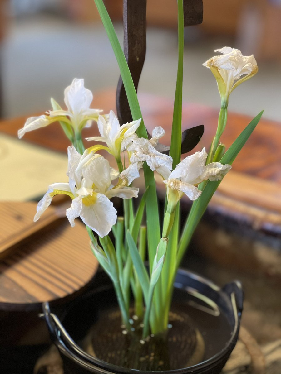 esthetrailer's tweet photo. 栃尾の六四篭さん
ご自宅でご夫婦でやっている
落ち着いた大人の蕎麦屋さん

美しいスローライフ含めて
大人のカップルにオススメ https://t.co/0OLpy1FKF7