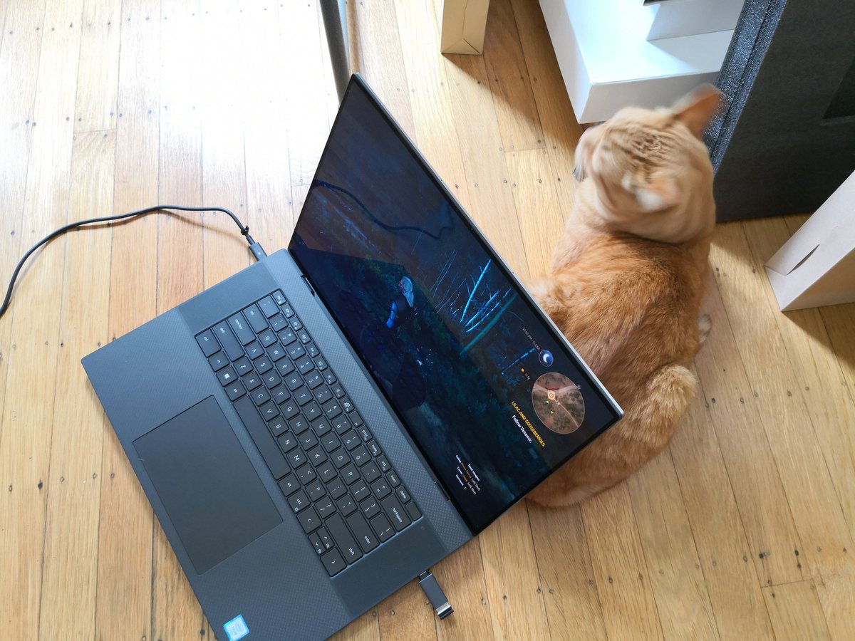 AllenNgoNBC's tweet photo. hot laptops aren't ideal.. unless if you're my cat https://t.co/Wy3zyDfyiy