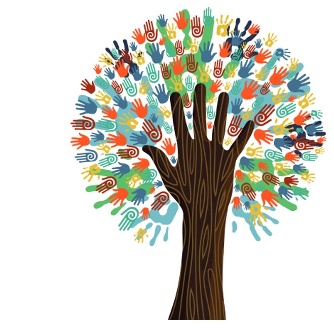 Xiaoqi Feng tweet media