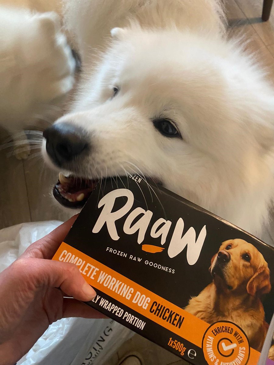 Morrisons Raw Dog Food Online Discount Shop For Electronics Apparel Toys Books Games Computers Shoes Jewelry Watches Baby Products Sports Outdoors Office Products Bed Bath Furniture Tools Hardware Automotive