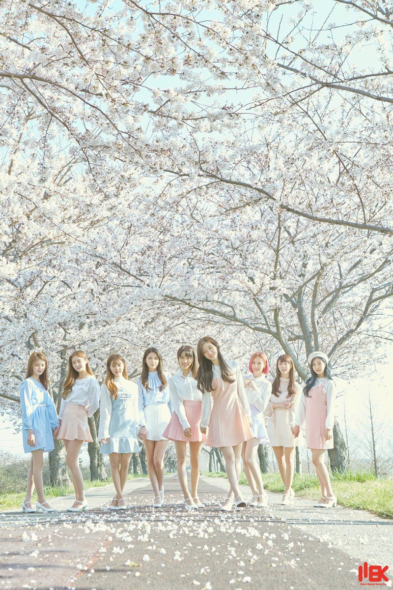 Tv girl group. Dia kpop. Группа dia. Группа джиайдел eunice. Dia корейская группа.