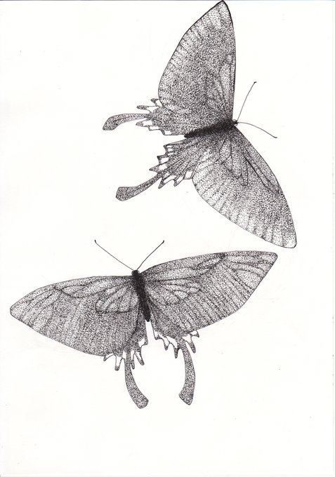 Twoucan 蝶 の注目ツイート イラスト マンガ コスプレ モデル