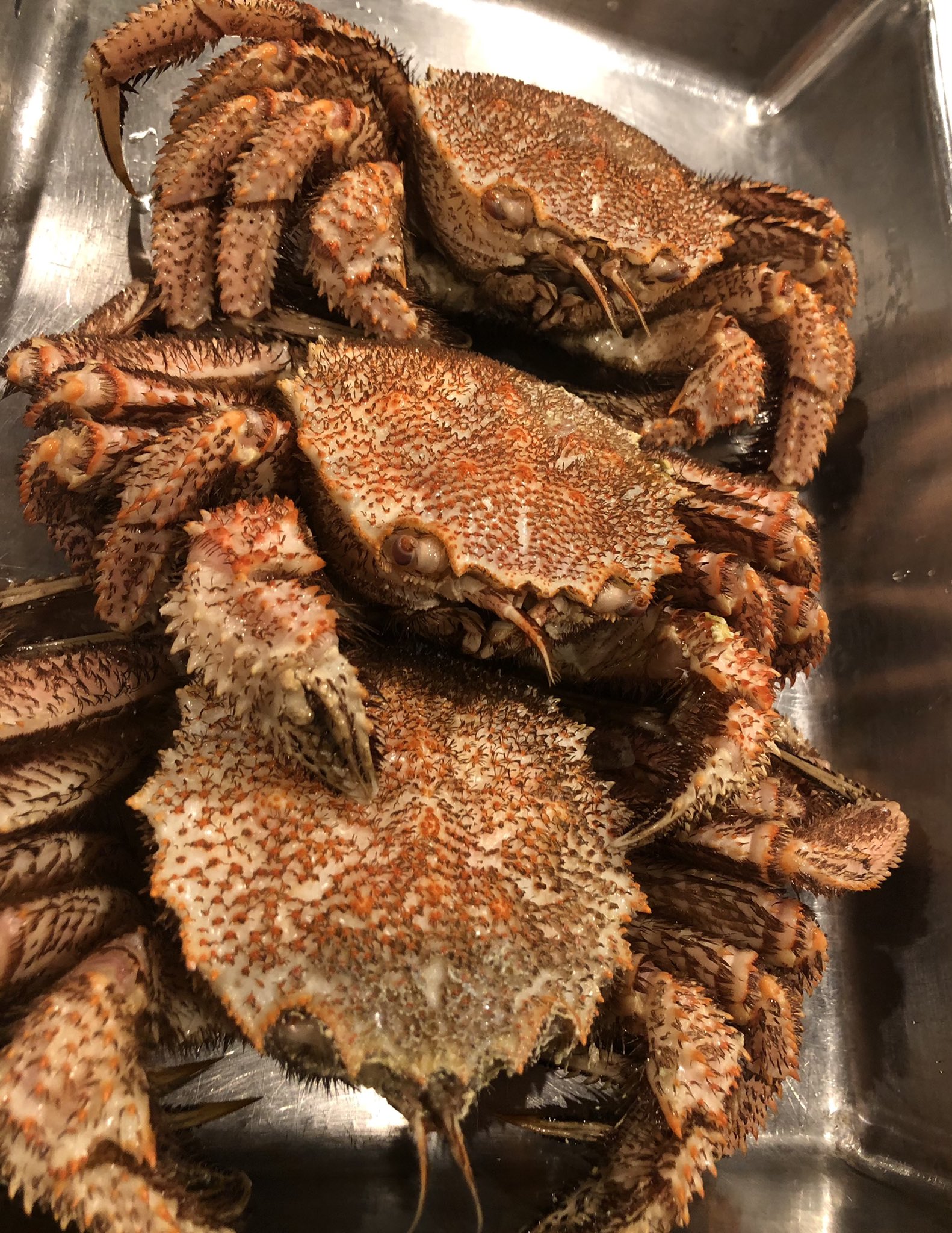 西荻窪しんぽ 箱ウニ 毛蟹 数に限りありますので お早めに T Co Dfooeofpbw Twitter