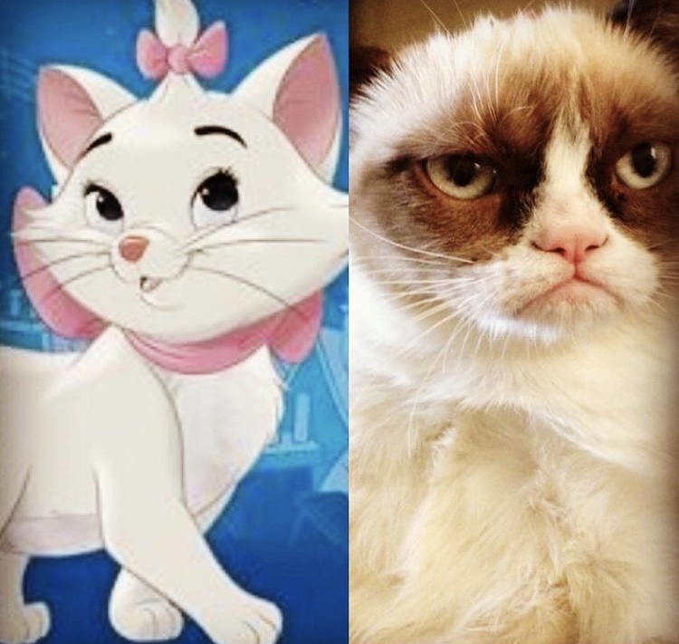 TheZestyQueen's tweet photo. @DomainXprt ๐ข Friday meme !!!
Left : How you see your brandables
Right : How others see your brandables ๐คฃ๐คฃ
#domains #domainmemes #HandReg #brandables https://t.co/IQ0Xig2kae