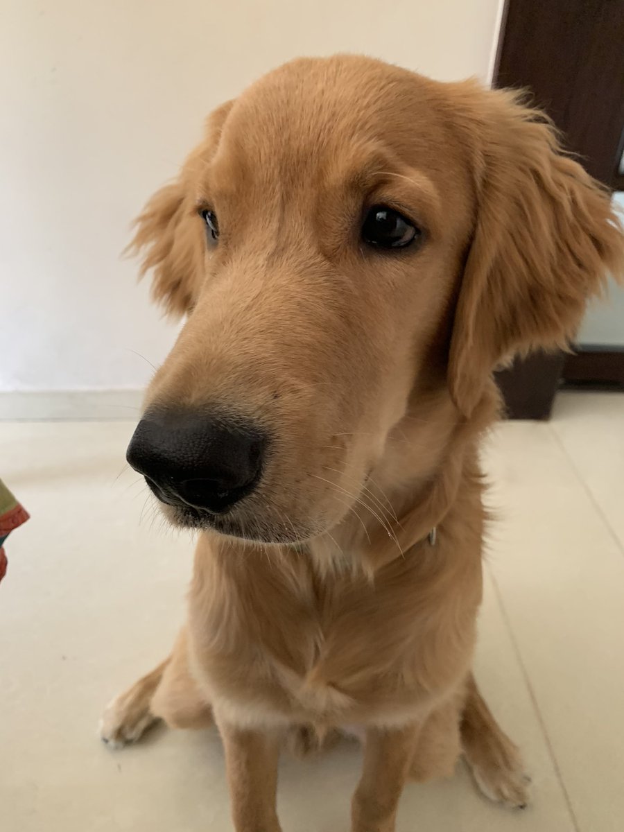 Fav face, everyday ❤️