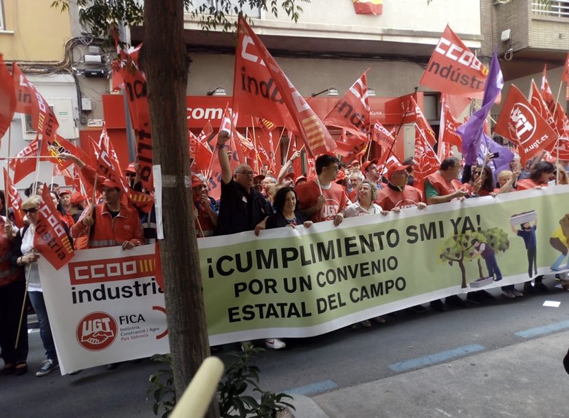 hemma1259's tweet photo. Hoy hace dos años de aquella historica concentracion en Alicante, que culmino en un encuentro sindical en Santa Eulalia defendiendo la aplicacion del SMI en el convenio del campo de Alicante @industriaccoopv #NoHayExcusas #CCOOALaOfensiva #SMIYa https://t.co/kxpL1SqDZK
