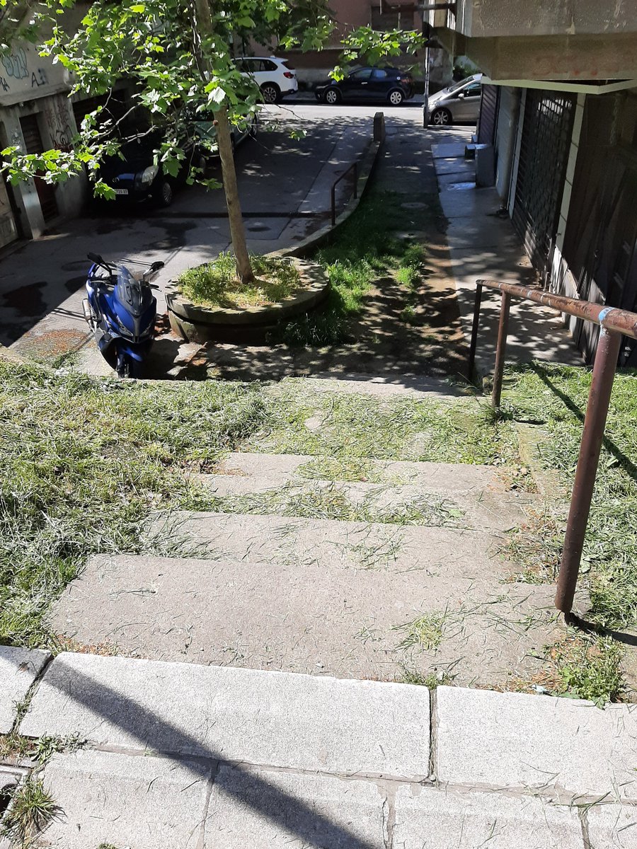 Nakon sto je pokoseno, nije pociscena trava pa je jedna baka pala. Kod igralista stepenice, Hadzi Melentijeva 19 mozda. Vracar <a href="/prijavi_problem/">Servisnicentar</a>