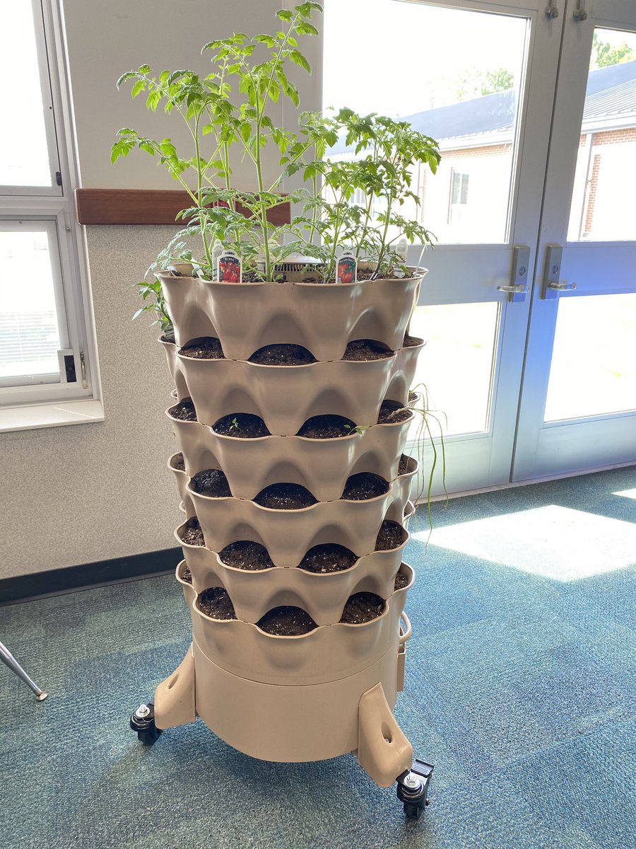 FTCSCTCrossing's tweet photo. Our amazing Art Teacher, Mrs. Billue, started a Garden Tower project, look at her GROW!!! A BIG thank you to her for her creativity and thoughtfulness in providing awesome experiences for our students and staff! #OneSchoolOneFamily #WeAreFlashes⚡️ https://t.co/n9ikMZIedS