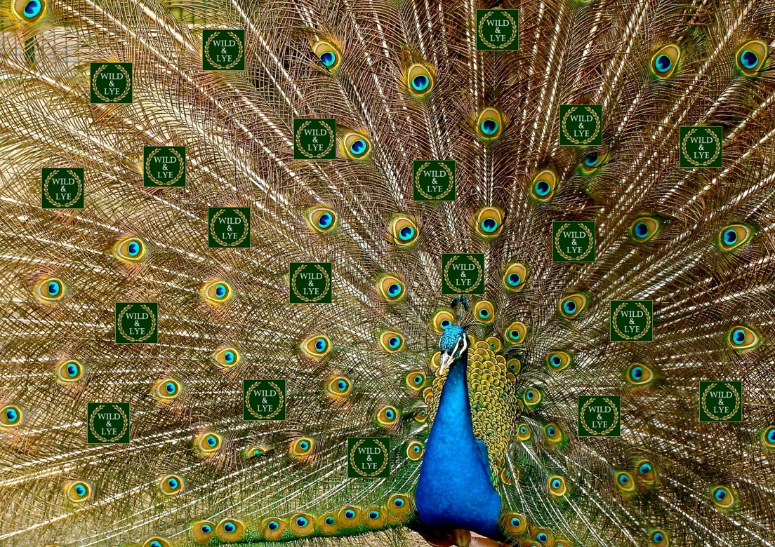 Sorry, it's part of our job to show-off!