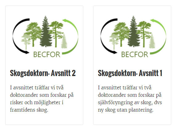 BecforSlu's tweet photo. BECFOR forskarskola lanserar en serie nyhetsbrev och podcast-avsnitt för att visa den bredd av kompetens som finns och som skapas under forskarutbildningarna.
#skogsdoktorn #skog #doktorand #skogsskötsel
#podden
https://t.co/gzVER8Q0gL https://t.co/NWgMDdz2io