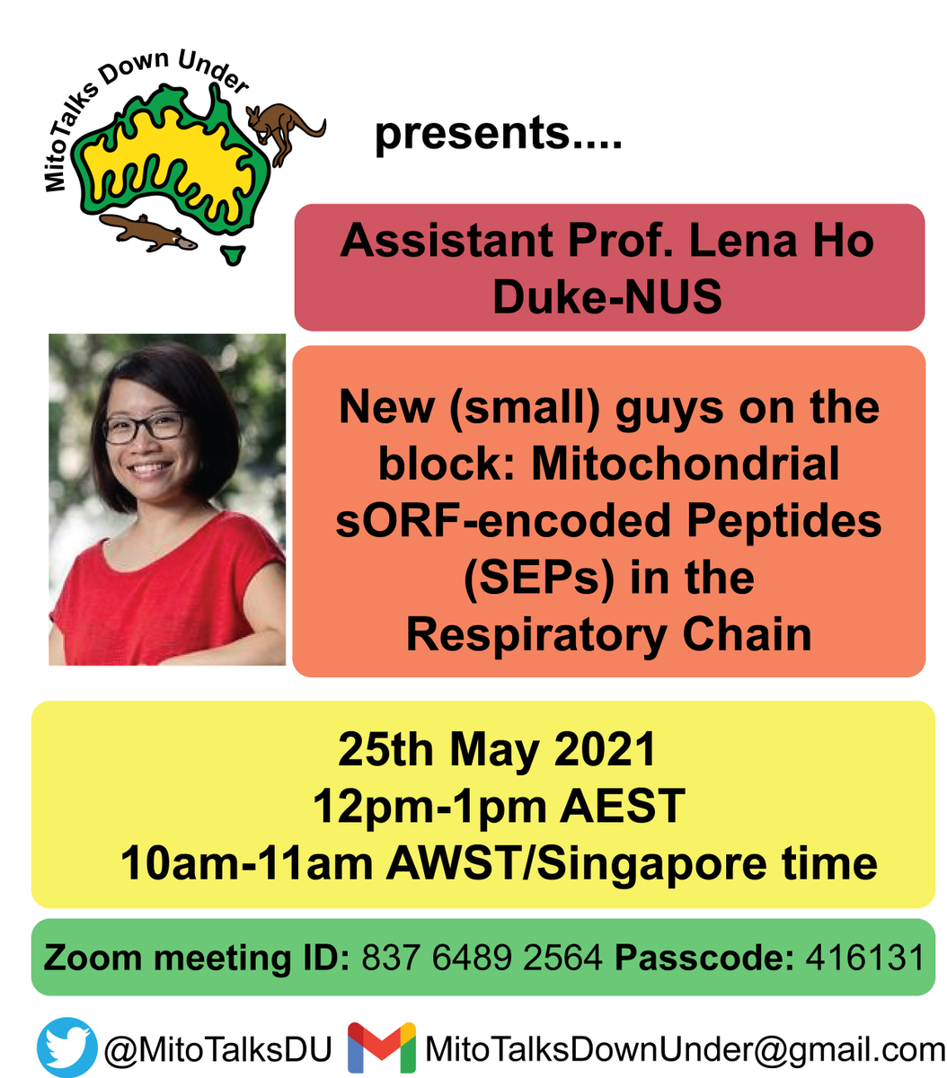 Looking forward to A/Prof Lena Ho <a href="/Holab_DukeNUS/">Lena Ho</a>  giving the next MitoTalks Down Under Seminar on Tuesday!! Be sure to watch to see what the small guys do to get your mitos energized!
Date: Tuesday 25th May 2021
Time: 12-1pm AEST
Zoom meeting ID: 837 6489 2564
Passcode: 416131