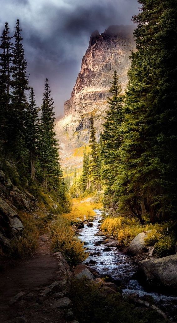 Jutta Streicher 🕊️ tweet media