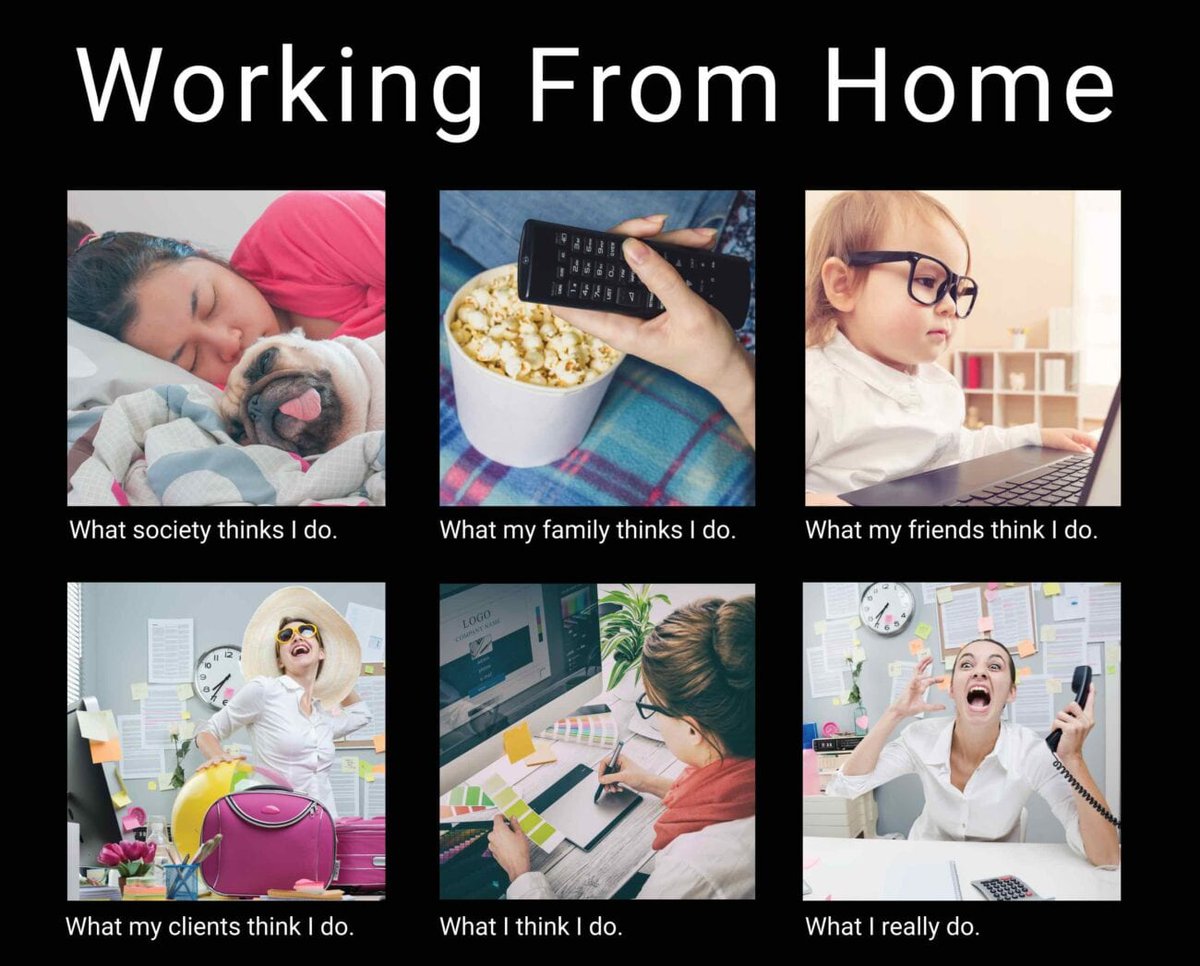 LoyaltyPlusSA's tweet image. We want to know how you feel about remote working 🧐 take part in the poll on LinkedIn.

#remoteworkingchallenges #remotework #LoyaltyPlusSA
 
linkedin.com/.../urn:li:act…...