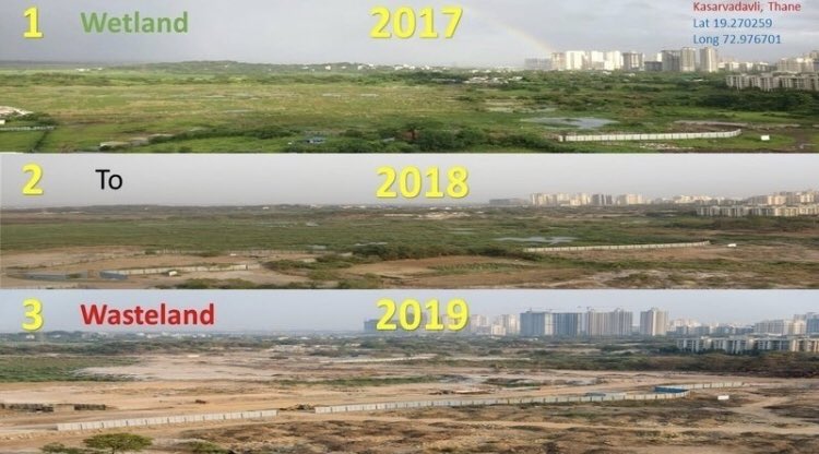 AneraoKailash's tweet photo. @sunnyagro @NaviMumbaiWetl1 @tarangsarin @vijaysinghTOI @vrtiwari1 @NeenuSomaraj @MangroveForest @MahaEnvCC @CMOMaharashtra @navimumbaicv @Navimumpolice @CPCB_OFFICIAL @igpmumbai @PrakashJavdekar @GreenStalin @anshul_a_jain @NMMConline @EnvironmentLife @KhargharWetland @Indian_Rivers @ChatterjeeBadri @DK_Rise4Green @SaveMumbaifore1 @pratikchorge00 @HTMumbai @NMMCCommr @CIDCO_Ltd @AravalliBachao @nahluwalia20 @zoru75 @ketan83 @sumairaabdulali @ThaneCollector @CentralIfs @vikaskharage @DrDilipP_IAS @Deepakk75058621 @MumbaisMagic @ConserveAarey @AareyForest @ranjeetnature @umarrangan @WCCBHQ After drying up Panje Wetlands & destroying almost every major wetland in Uran & #Thane; attention of real estate mafia, builders & #cidco has again shifted back to the remaining major Wetland of #NaviMumbai which is #Talawe & #TSCChanakya wetlands. @thewire_in @ParveenKaswan https://t.co/zJ5Aar1UEc