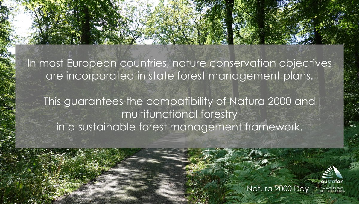 EUSTAFOR's tweet image. Forests represent around 50% of the area of #Natura2000 sites.  🦌 🌳 State Forest Organizations are continuously working on habitats and species conservation. 
Look at concrete practices in #EUstateforests 
👉 bit.ly/2RqRkrh

#SustainableForestManagement #Natura2000Day