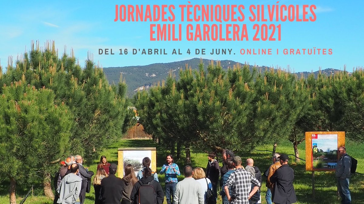 XXXVIII Jornades Tècniques Silvícoles Emili Garolera
Jornada 6. Resultats de l’aplicació d’una silvicultura adaptativa amb criteris d’arbre individual i de silvicultura naturalística a la zona amb clima mediterrani subhumit
📅 Avui, 21 de maig, 9:30 a 12h forestal.cat/web/jornades