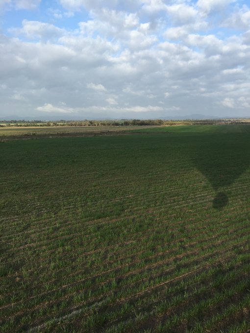 草原のtwitterイラスト検索結果 古い順